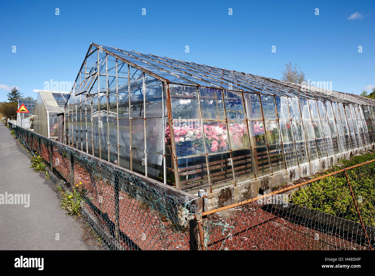 geothermally powered greenhouses in hveragerdi Iceland Stock Photo