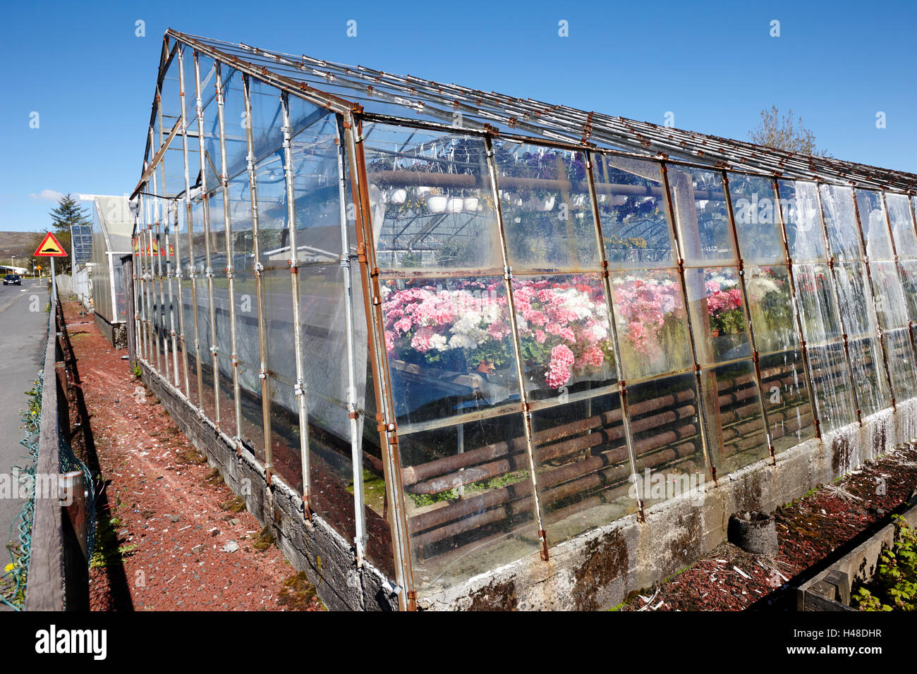 geothermally powered greenhouses in hveragerdi Iceland Stock Photo