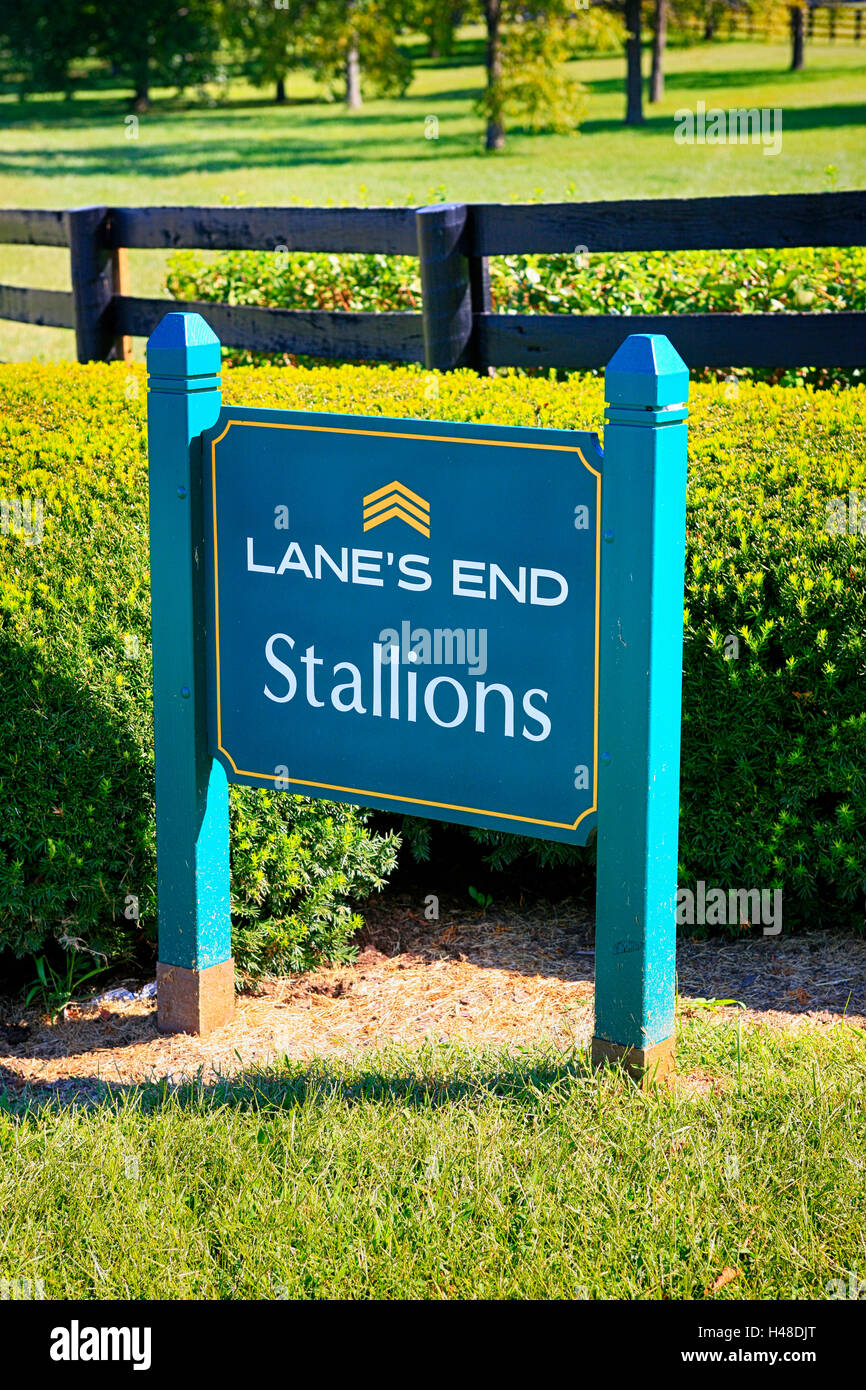 Racing capital of the world hires stock photography and images Alamy