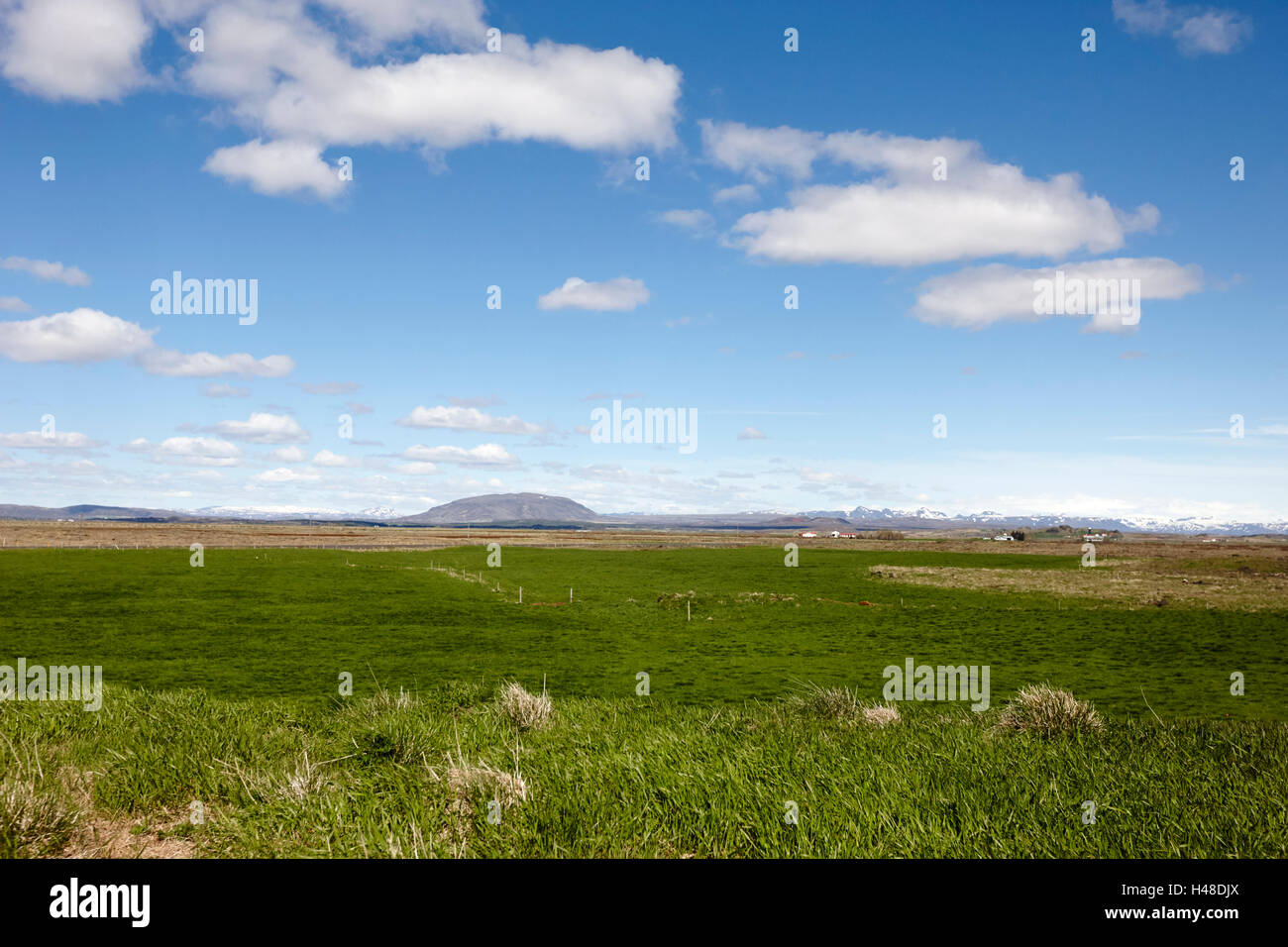 open farmland in lush fertile southern Iceland Stock Photo