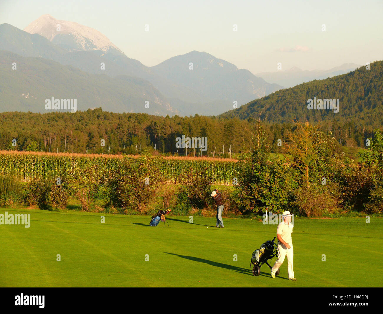 Golf course, Mieminger Plateau, Tyrol, Austria Stock Photo - Alamy