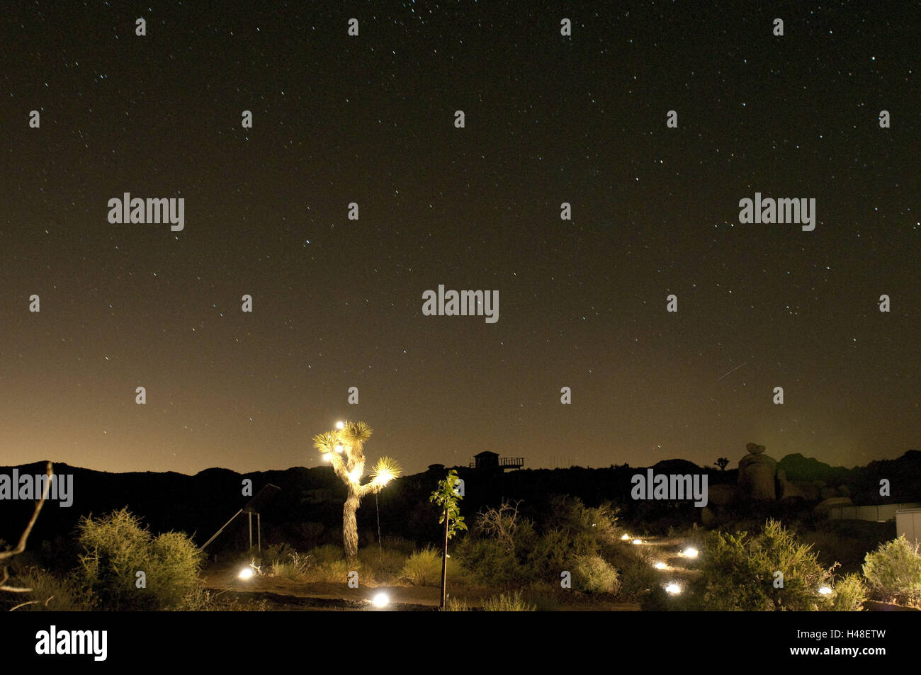 USA, California, desert, night, Stock Photo