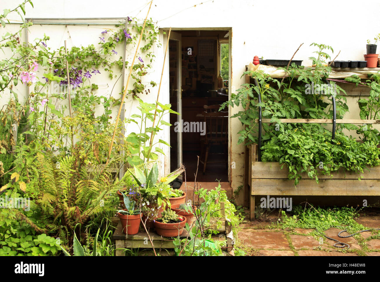 Market garden, barn, plants, outside, summer, building, scales, potted