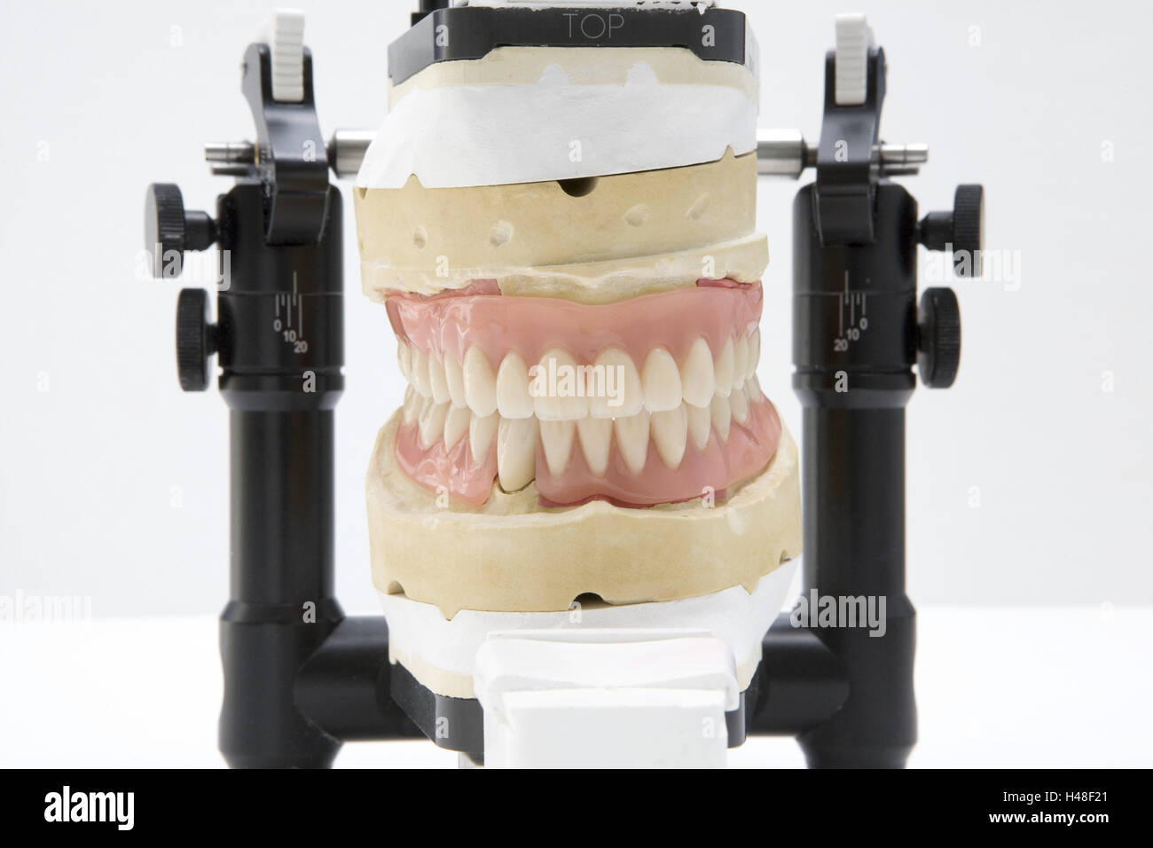 Articulator, set dentures, upper jaw, lower jaw, cog laboratory, gypsum models, bite, cog technology, denture, prosthesis, cogs, dentistry, health, health policy, product photography, Stock Photo