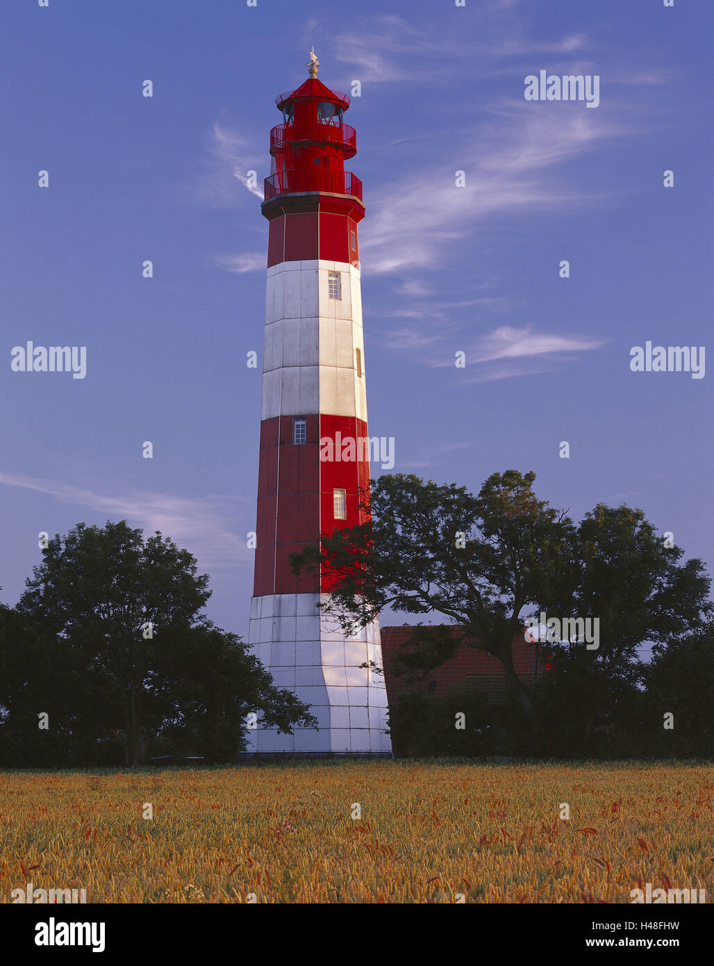 Germany, Schleswig - Holstein, Baltic island Fehmarn, Fully-fledgedly, lighthouse, dusk, the Baltic Sea, island, Baltic island, Fehmarn, Fehmarn sound, upper fire, beacon, signal, light signal, orientation, field, grain field, ears, trees, place of interest, tourism, nobody, evening, Stock Photo