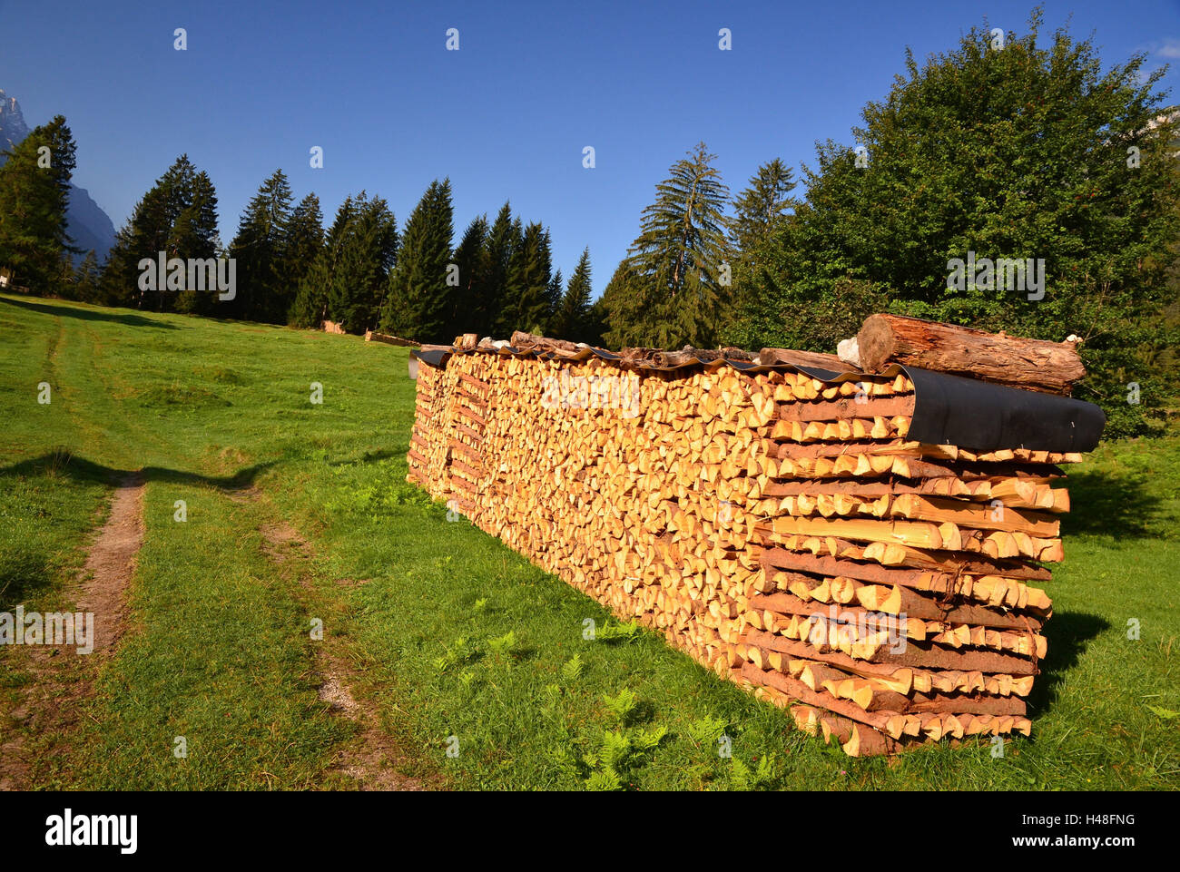 Forestry, pile wood, raised Stock Photo Alamy
