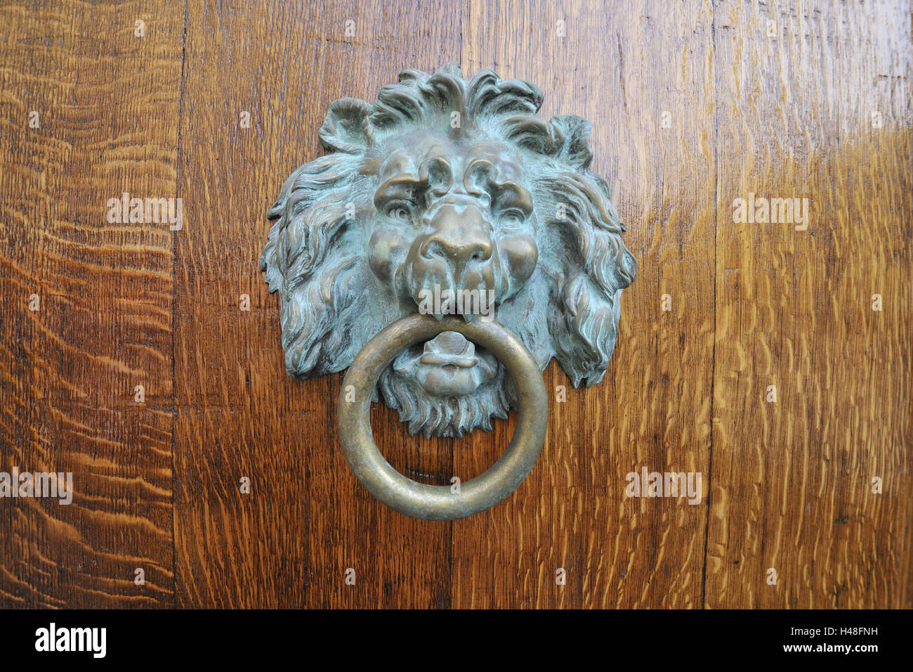 Door doorknocker, lion, close up, Stock Photo