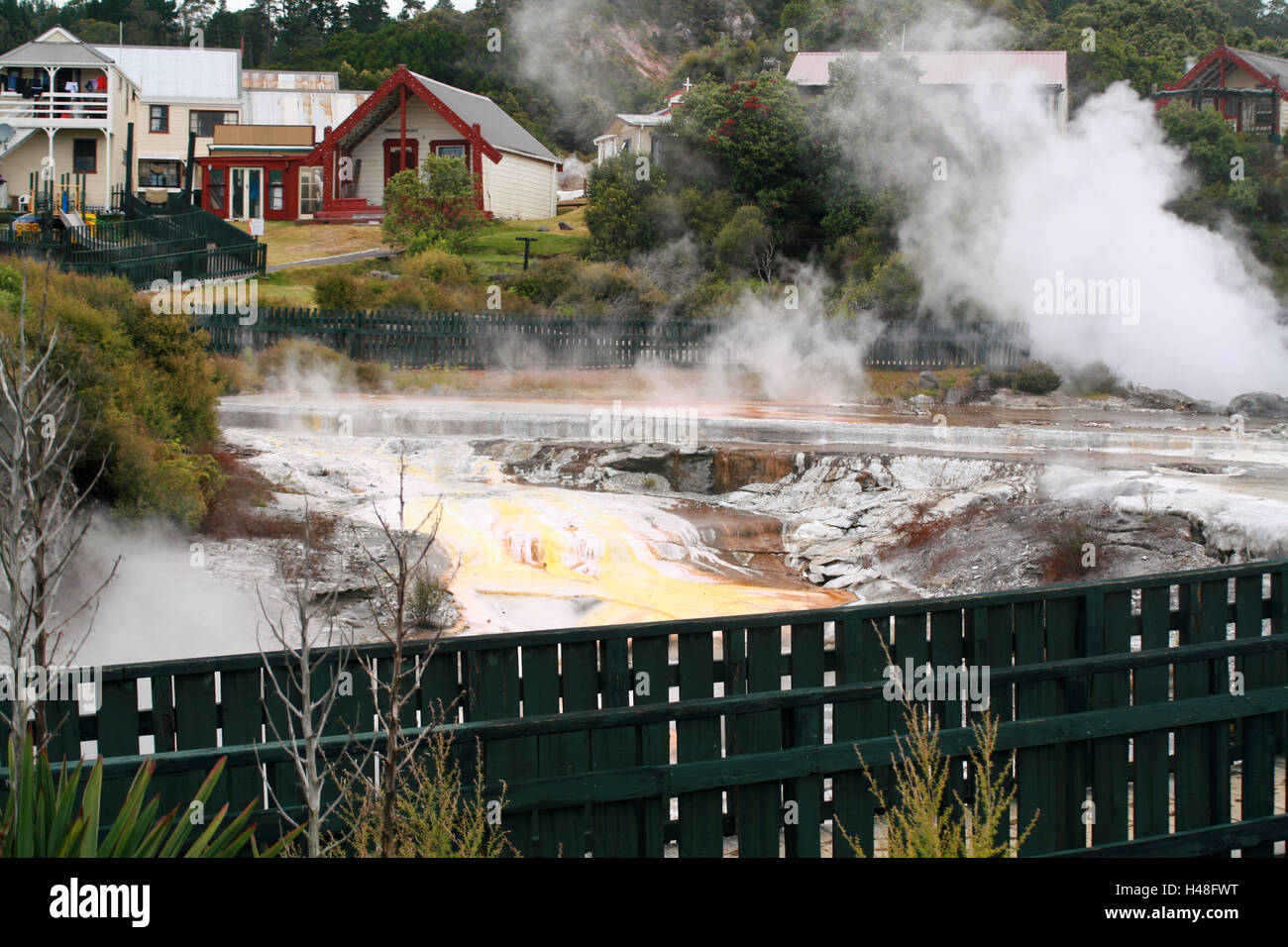 New Zealand, North Island, Rotorua, Whakarewarewa Thermal area Stock