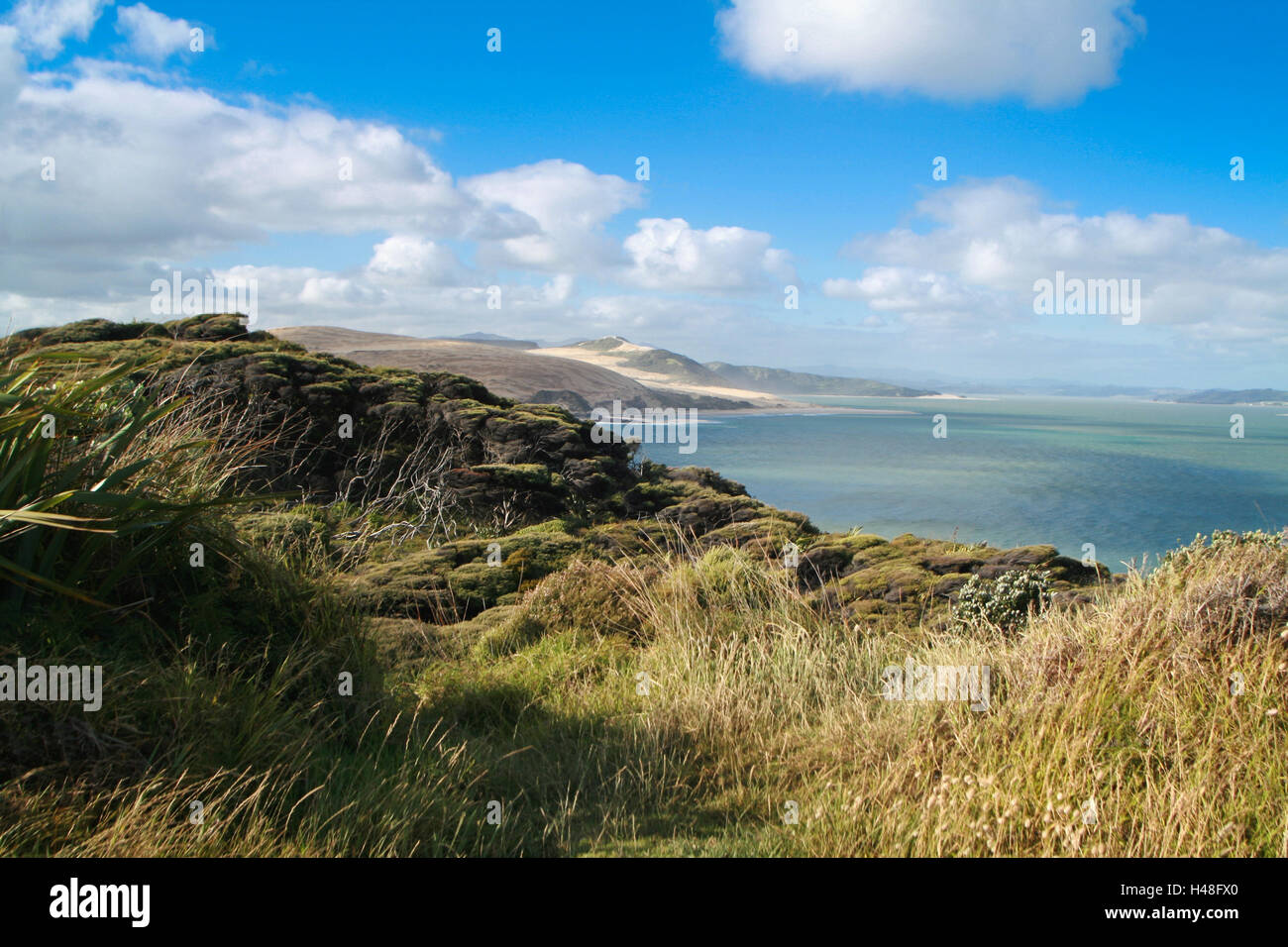 New Zealand, North Island, dune landscape, Omapere, Stock Photo