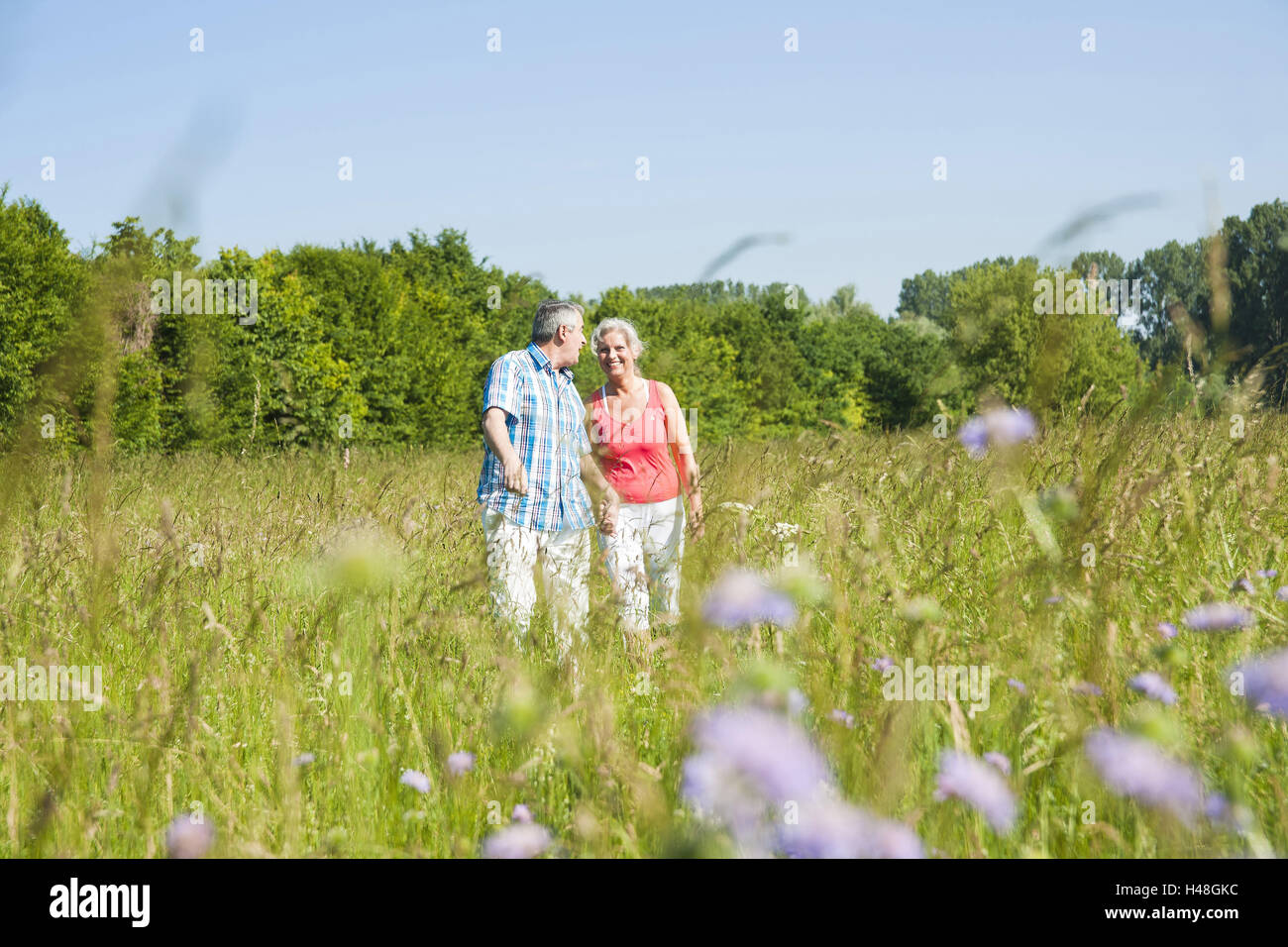 Senior citizen's couple runs in a good mood above a meadow, Stock Photo