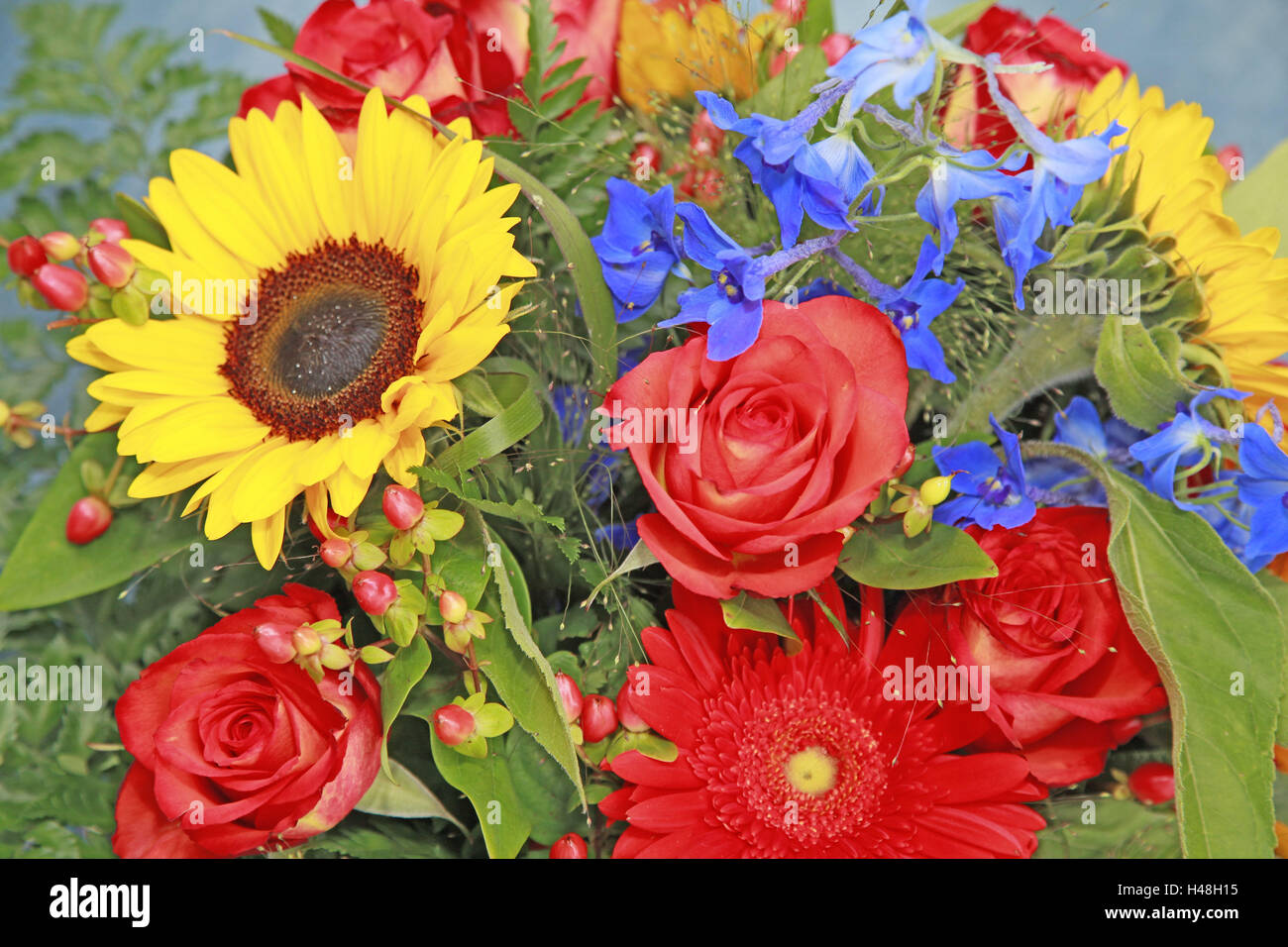 Different coloured flowers hi-res stock photography and images - Alamy