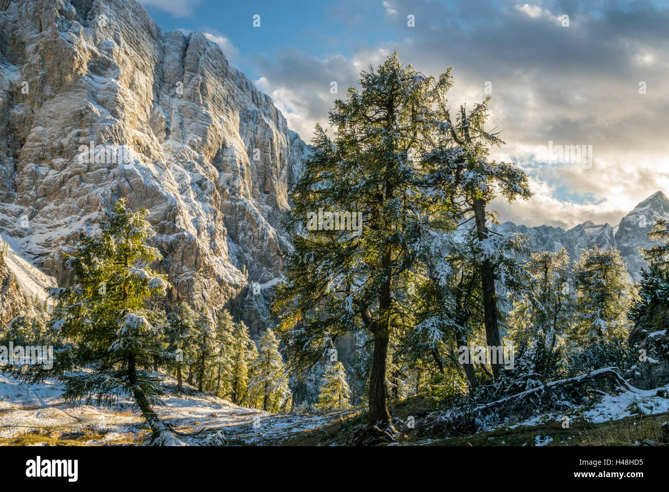 Mountain light Stock Photo Alamy