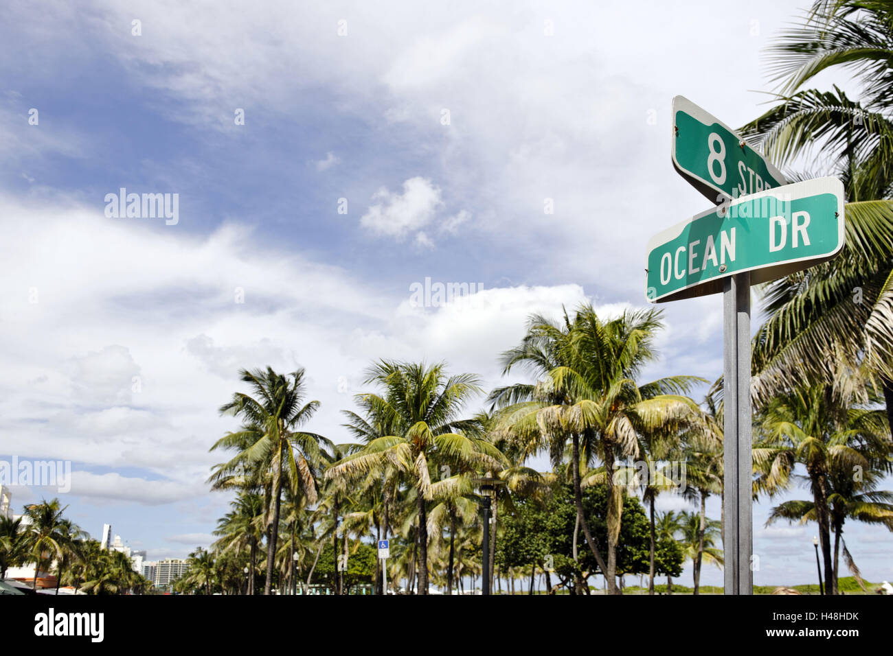 Road sign 'OCEAN DR' corner 8 ST, Lummus Park, Ocean Drive, Miami South Beach, Art Deco District, Florida, USA, Stock Photo