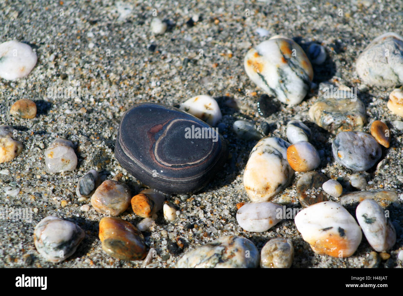 New Zealand, south island, west coast, Haast Beach, stones Stock Photo ...