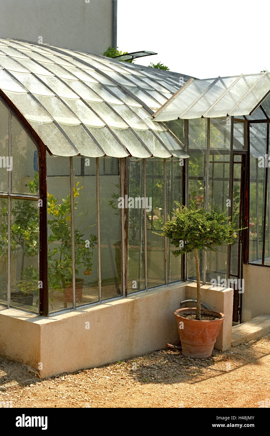 Conservatory plants hi-res stock photography and images - Alamy