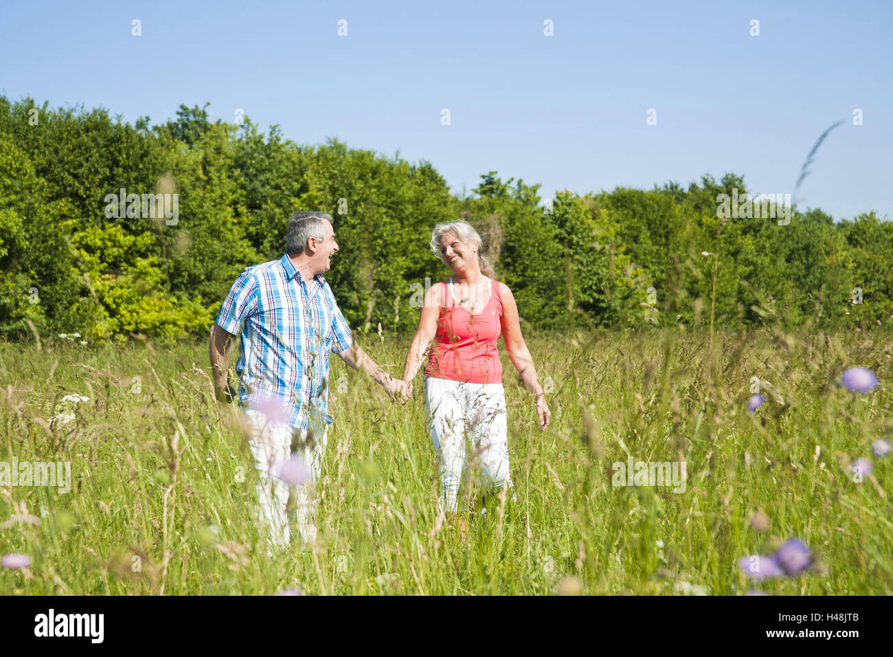 Senior couple running a good mood over a meadow, Stock Photo