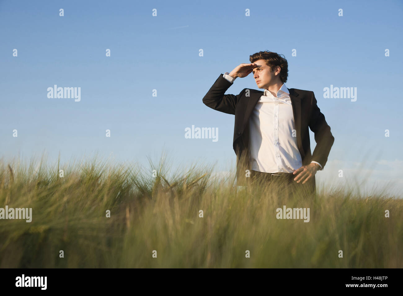 young manager stands in a field, view, Stock Photo