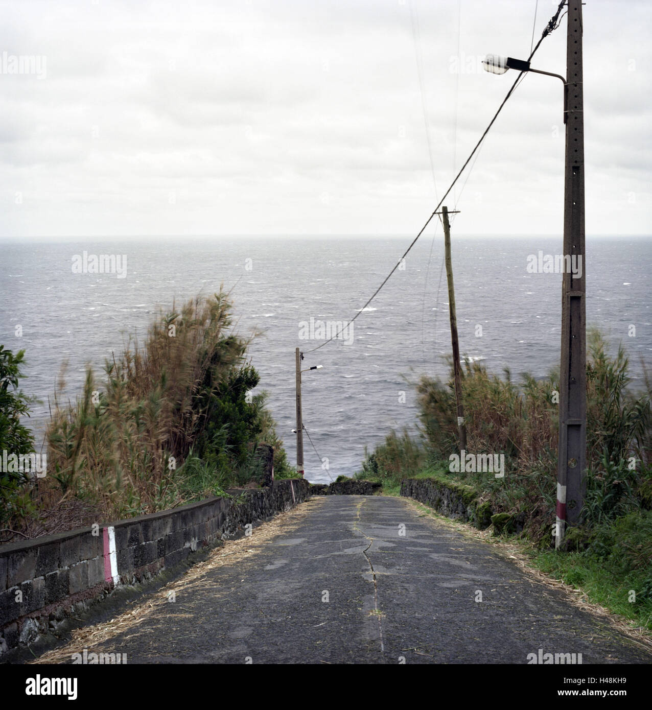Portugal, Azores, Sao Miguel, Ponta do Arnel, cape, road, power line, sea  Stock Photo - Alamy