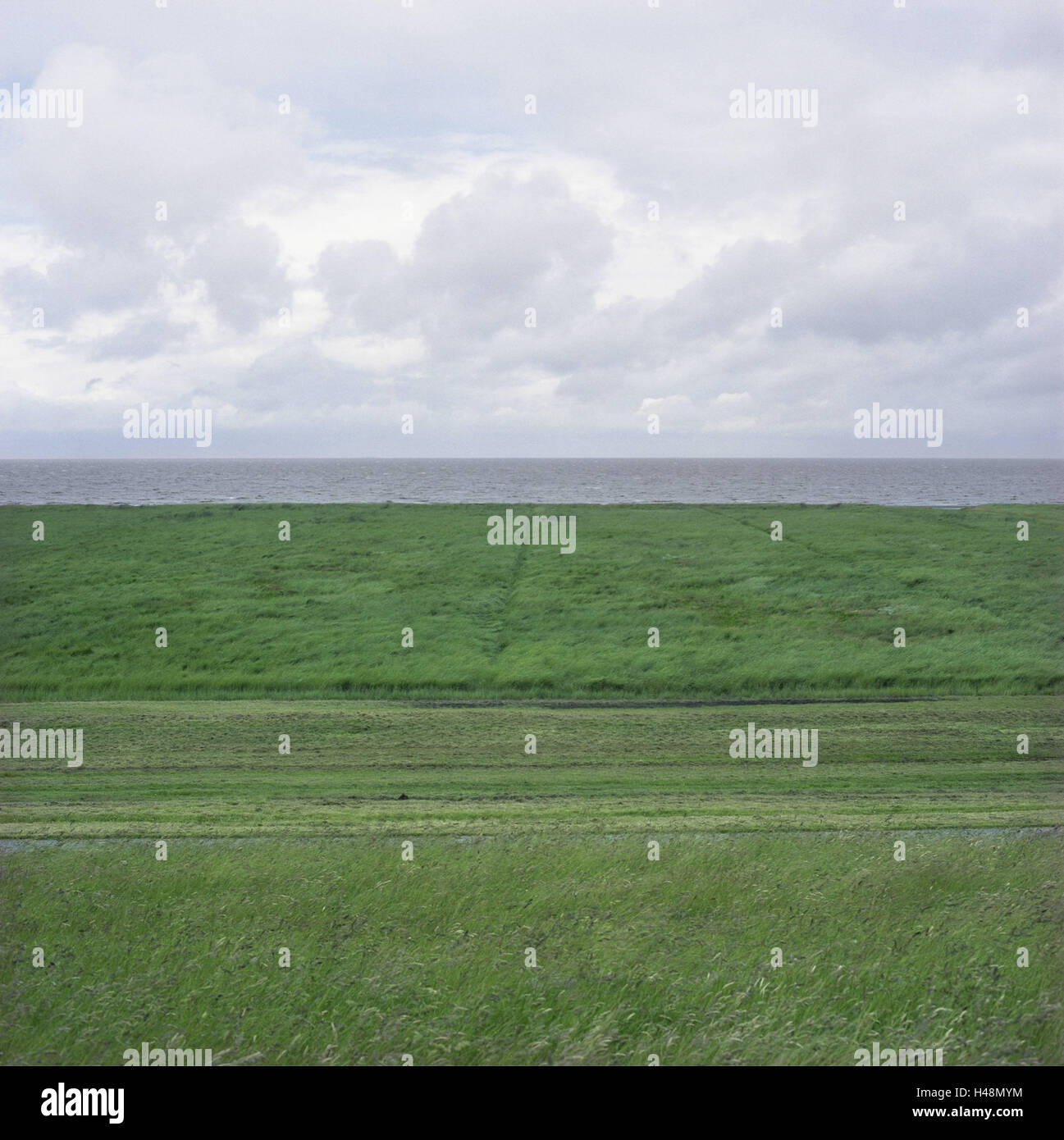German North Sea coast, meadow, dyke, sea Stock Photo - Alamy 