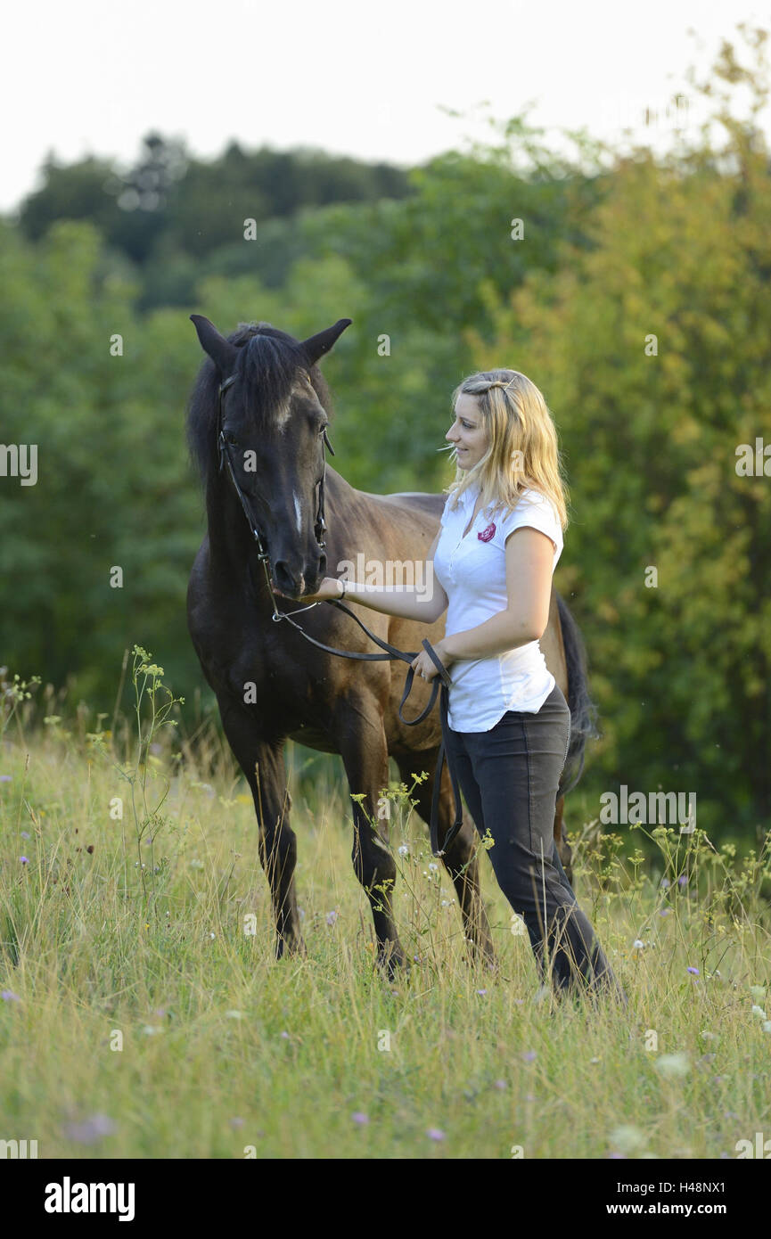 Teenage girl, horse, Arabo-Haflinger, meadow, stand, Stock Photo