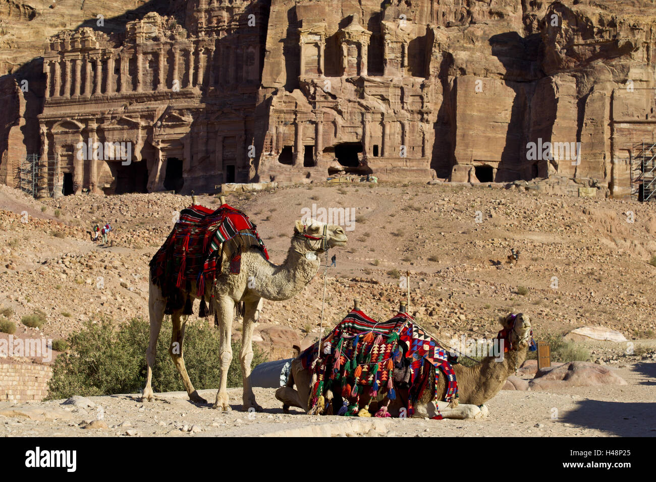 Jordan, rock town Petra, king's wall, camels, Stock Photo