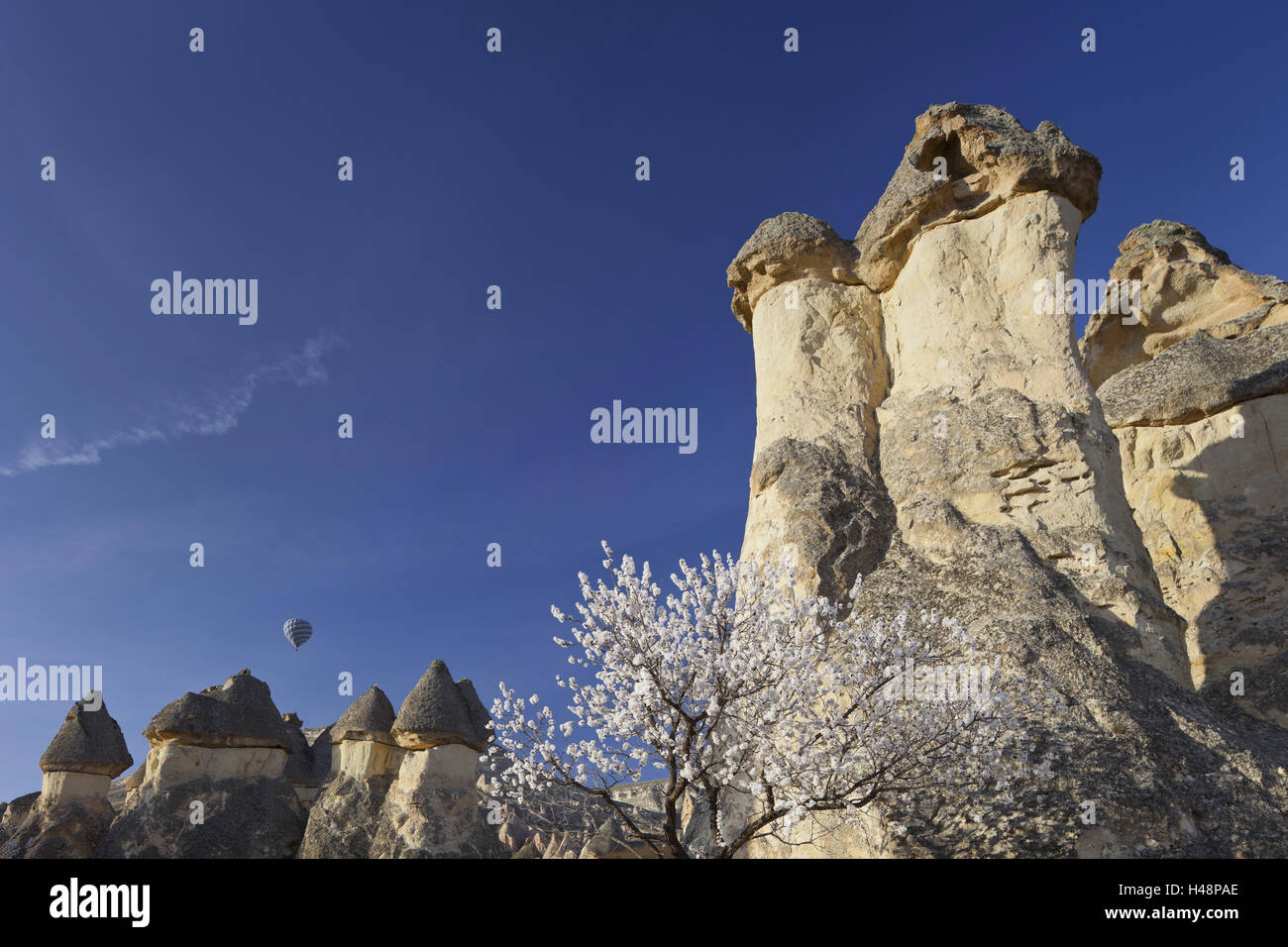 Tree Chimneys High Resolution Stock Photography and Images - Alamy