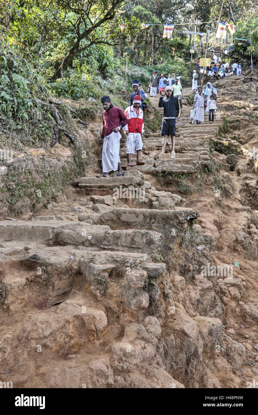 Sri Lanka, person, stairs, descended, Stock Photo