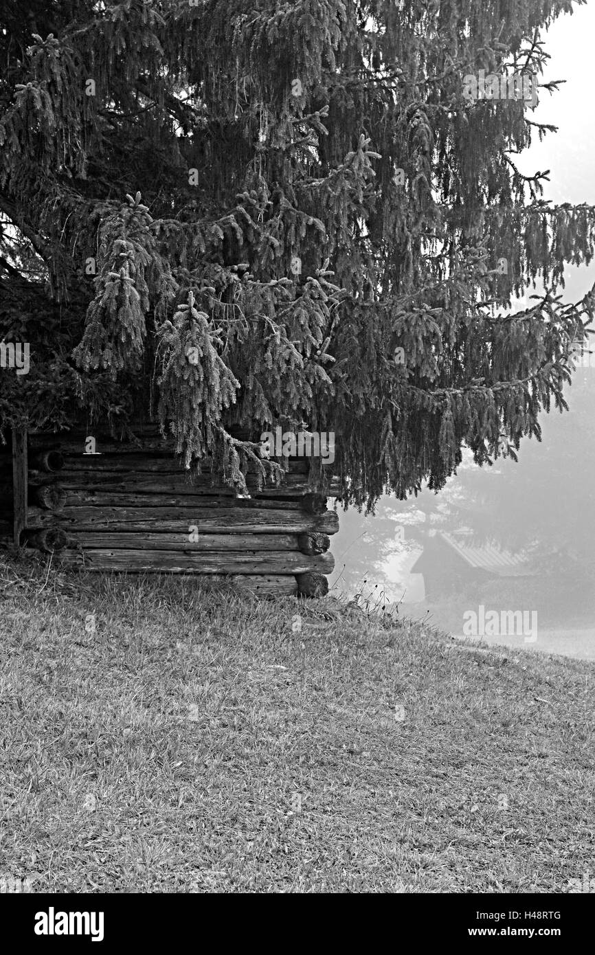 under armour vapormax