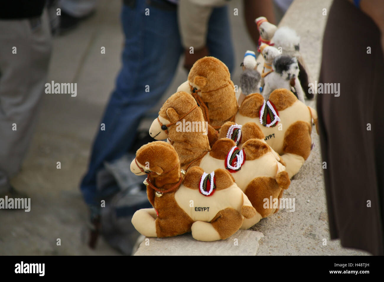Egypt, Gizeh, souvenirs, soft toys, camels Stock Photo Alamy