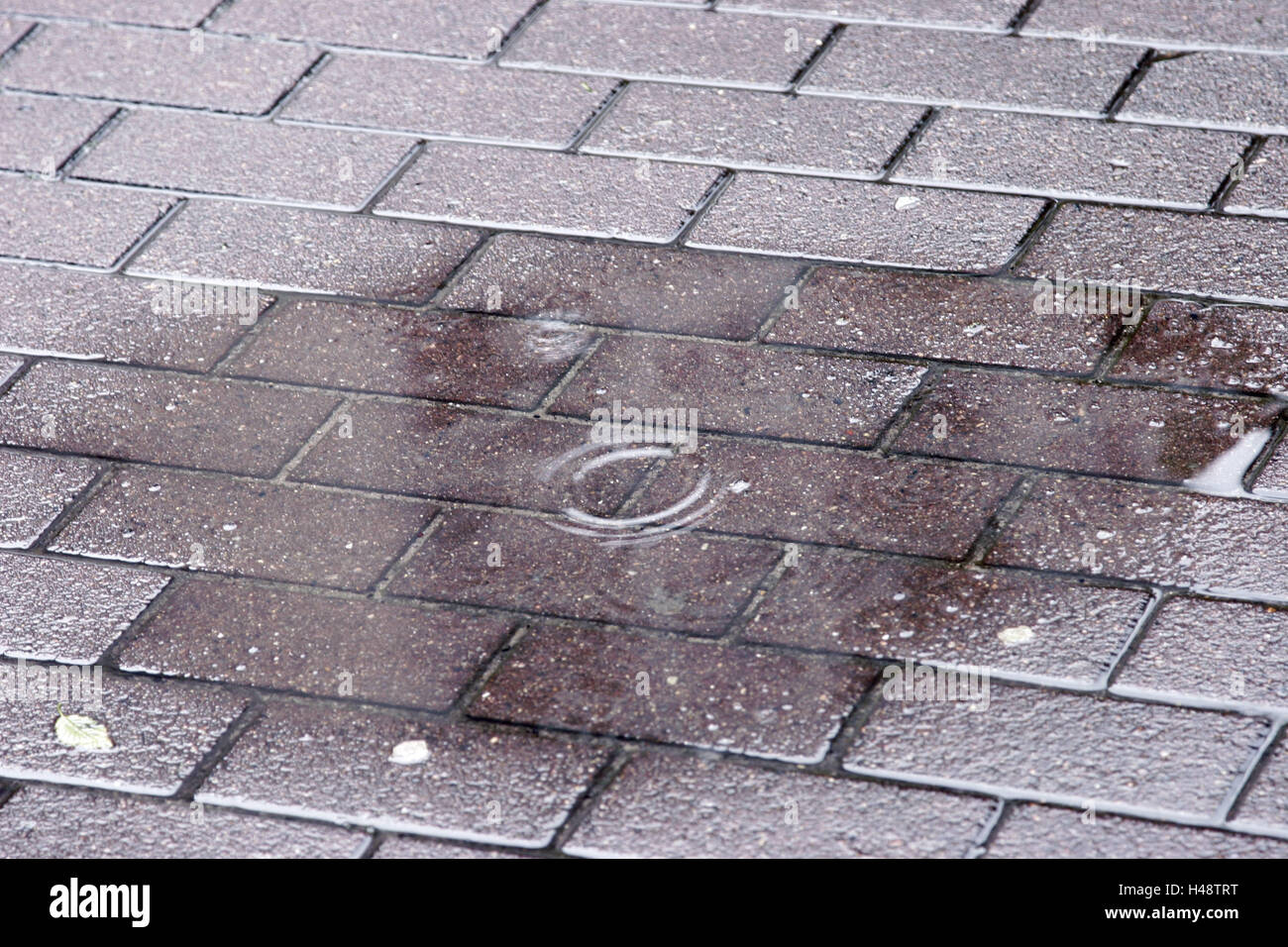 Street, pavingstone, rain puddle, sidewalk, paved, weather, rain