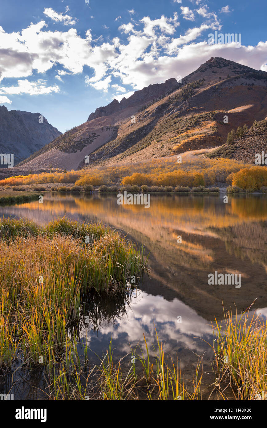 Fall colours line the banks of North Lake near Bishop, Eastern Sierras, California, USA. Autumn (October) 2014. Stock Photo