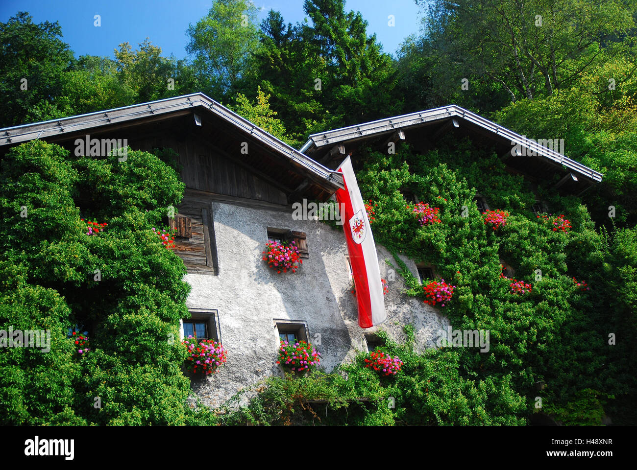 Austria, Tyrol, rat's mountain in the Inn, houses, facades, covered