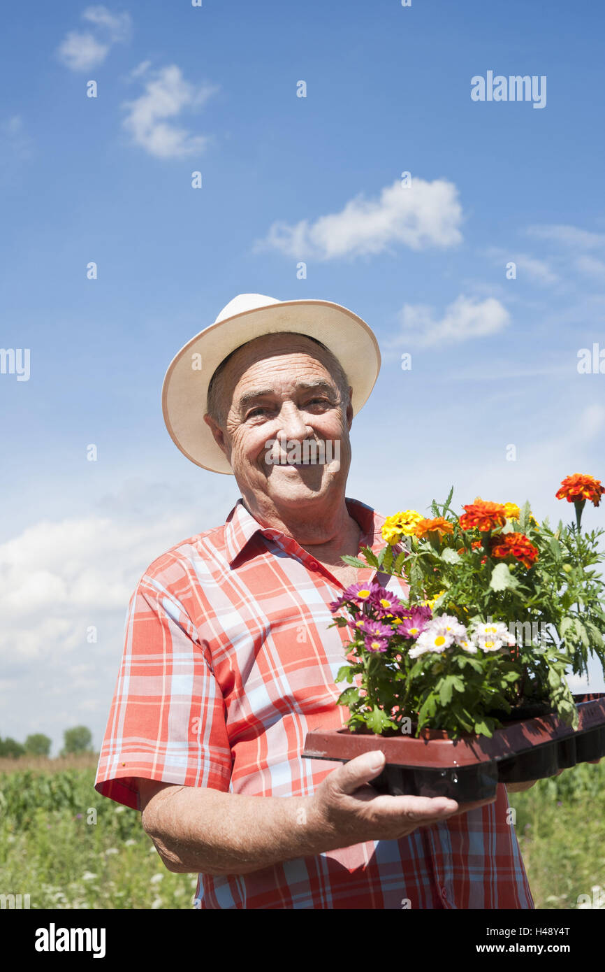 Older man working in the garden Stock Photo - Alamy