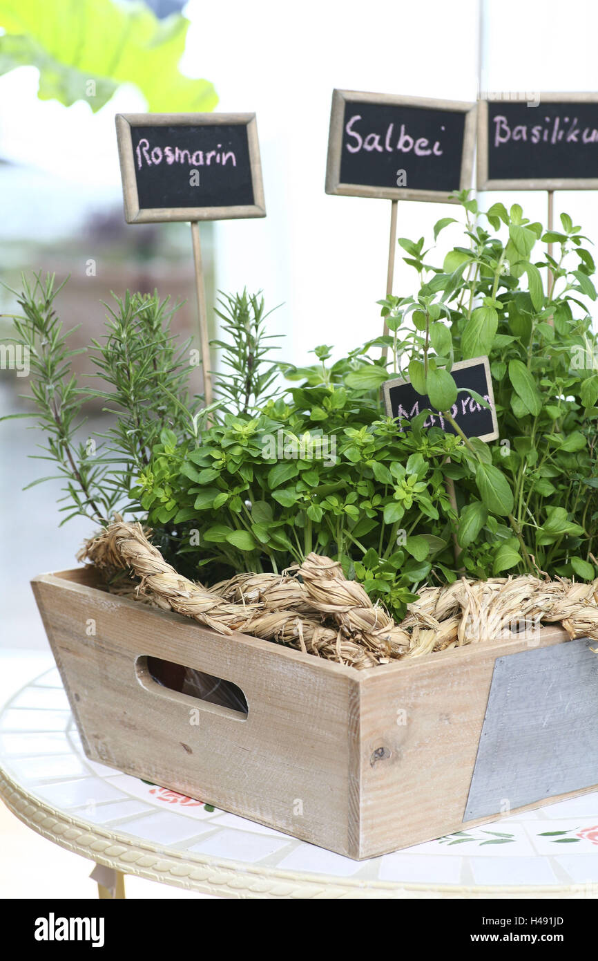Culinary herbs, herbs in wooden box, rosemary, basil, marjoram, Rosmarinus officinalis, Ocimum basilicum, Origanum majorana, Stock Photo