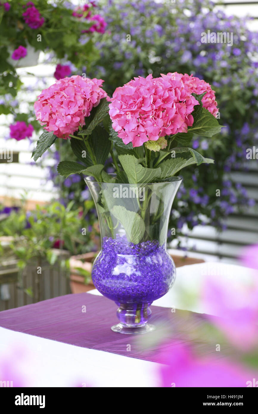 Hydrangeas in vase on garden table, Stock Photo
