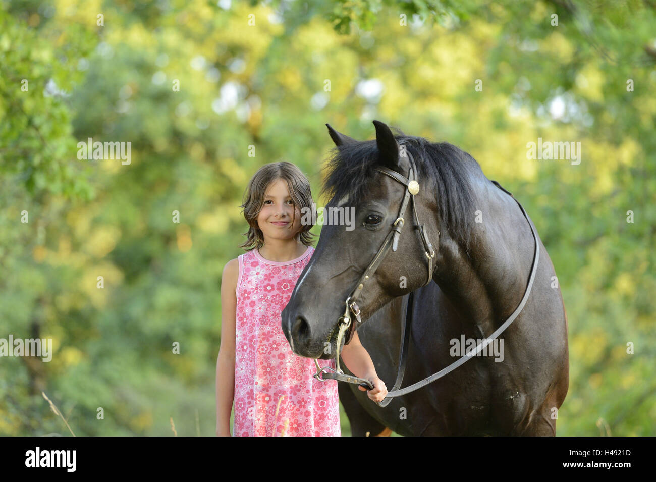 Girls, horse, Arabo-Haflinger, head-on, stand, view camera, Stock Photo