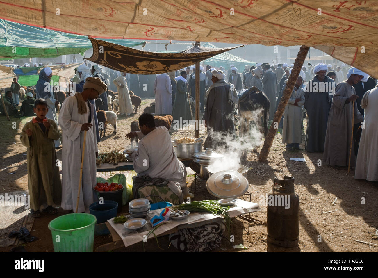 Egypt, in the camel market Darau near the small town Kom Ombo to the south Aswan, Stock Photo