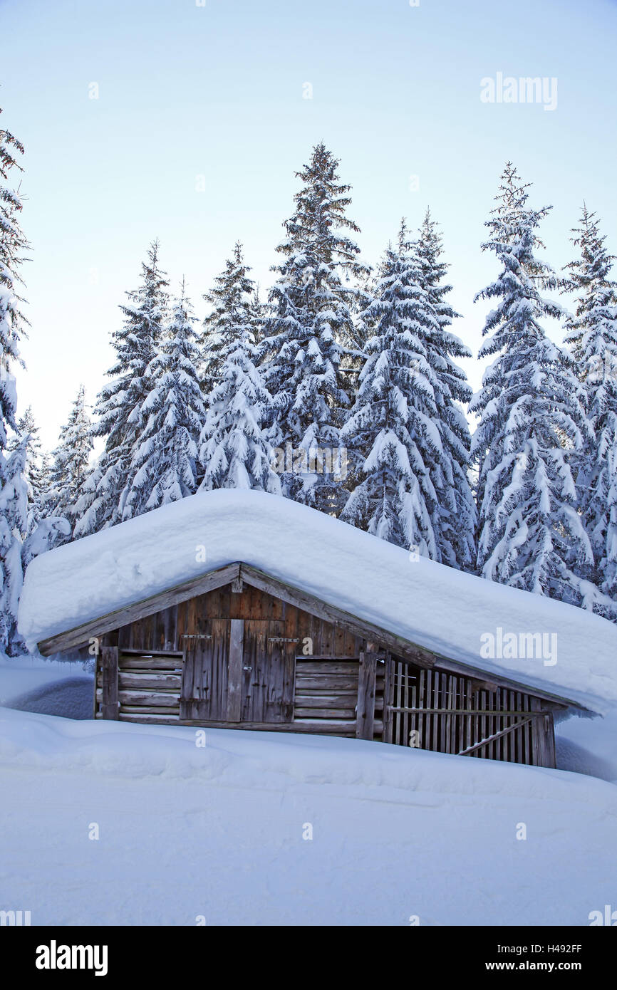 Hay barn deeply snow-covered in front of winter wood, Stock Photo