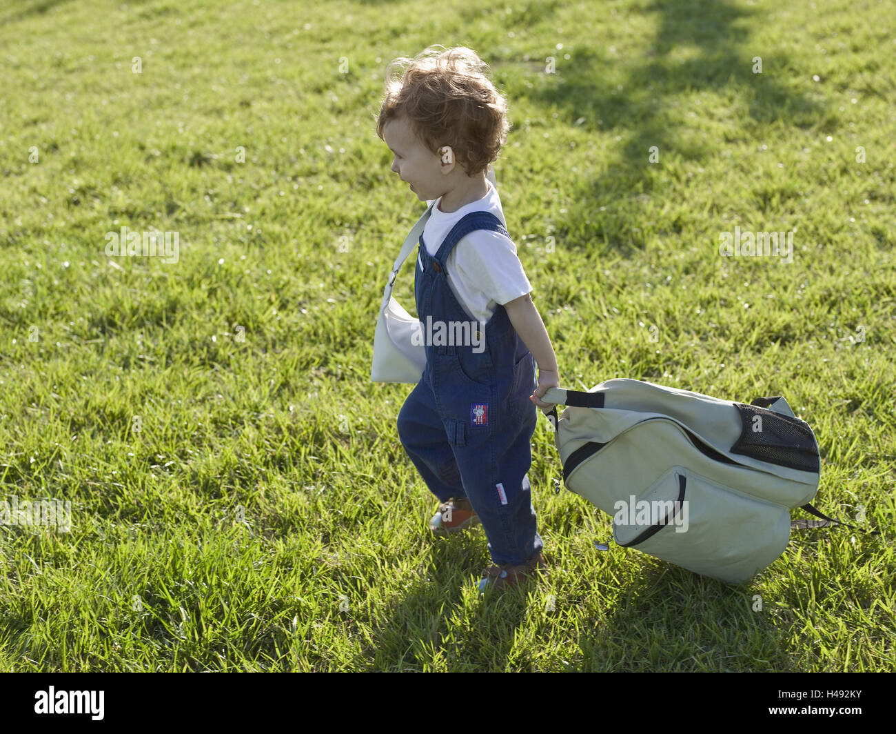 Infant, boy, backpack, meadow, run, go child, summer, grass, alone ...