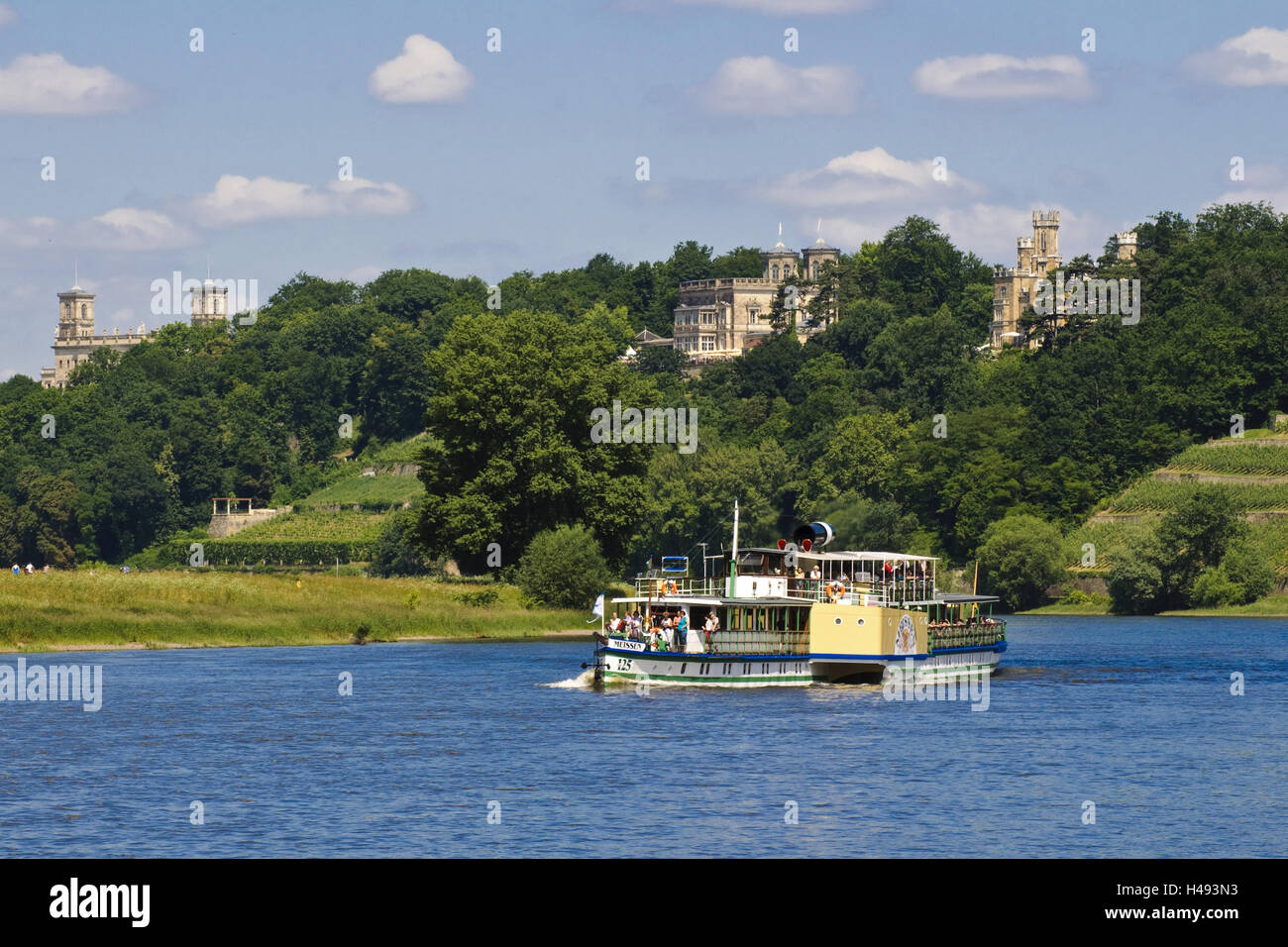 The Elbe and Elbe castles, steamboat, Dresden, Saxony, Germany, Stock Photo