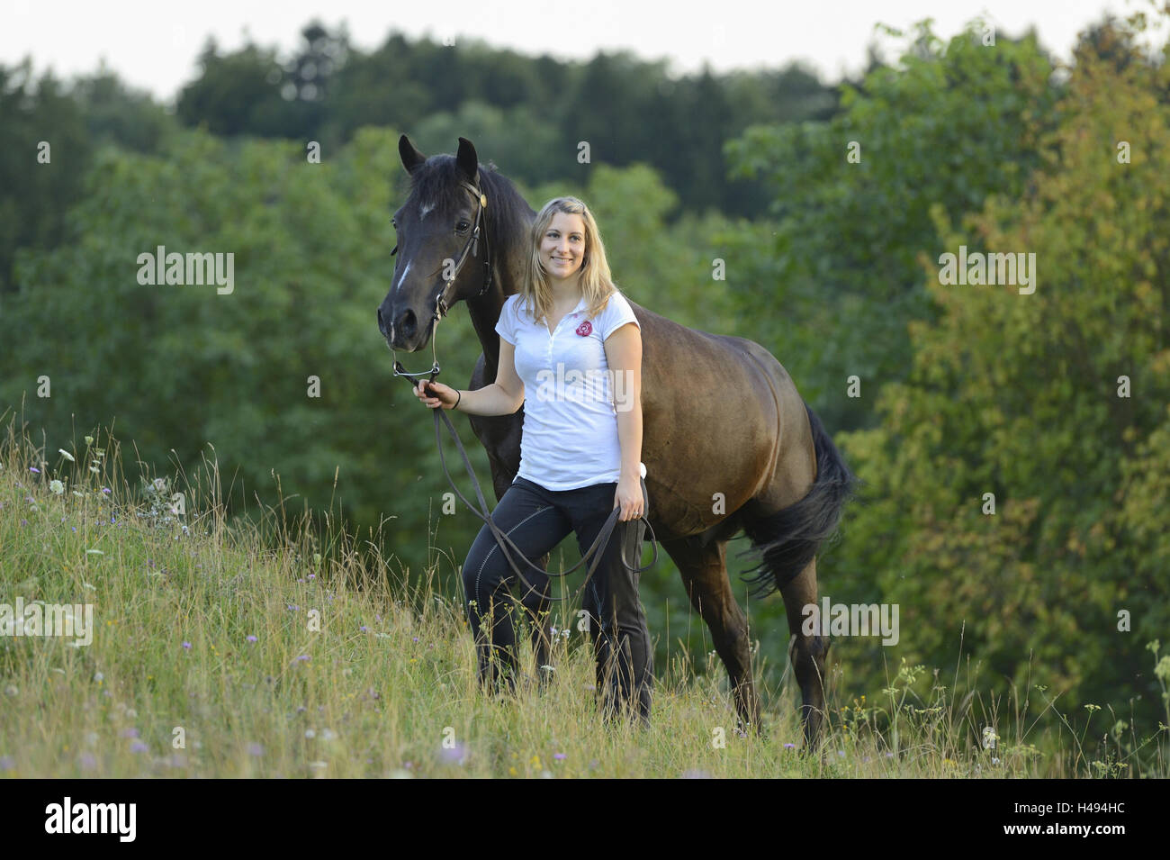 Teenage girl, horse, Arabian Haflinger, meadow, standing, looking at camera, Stock Photo