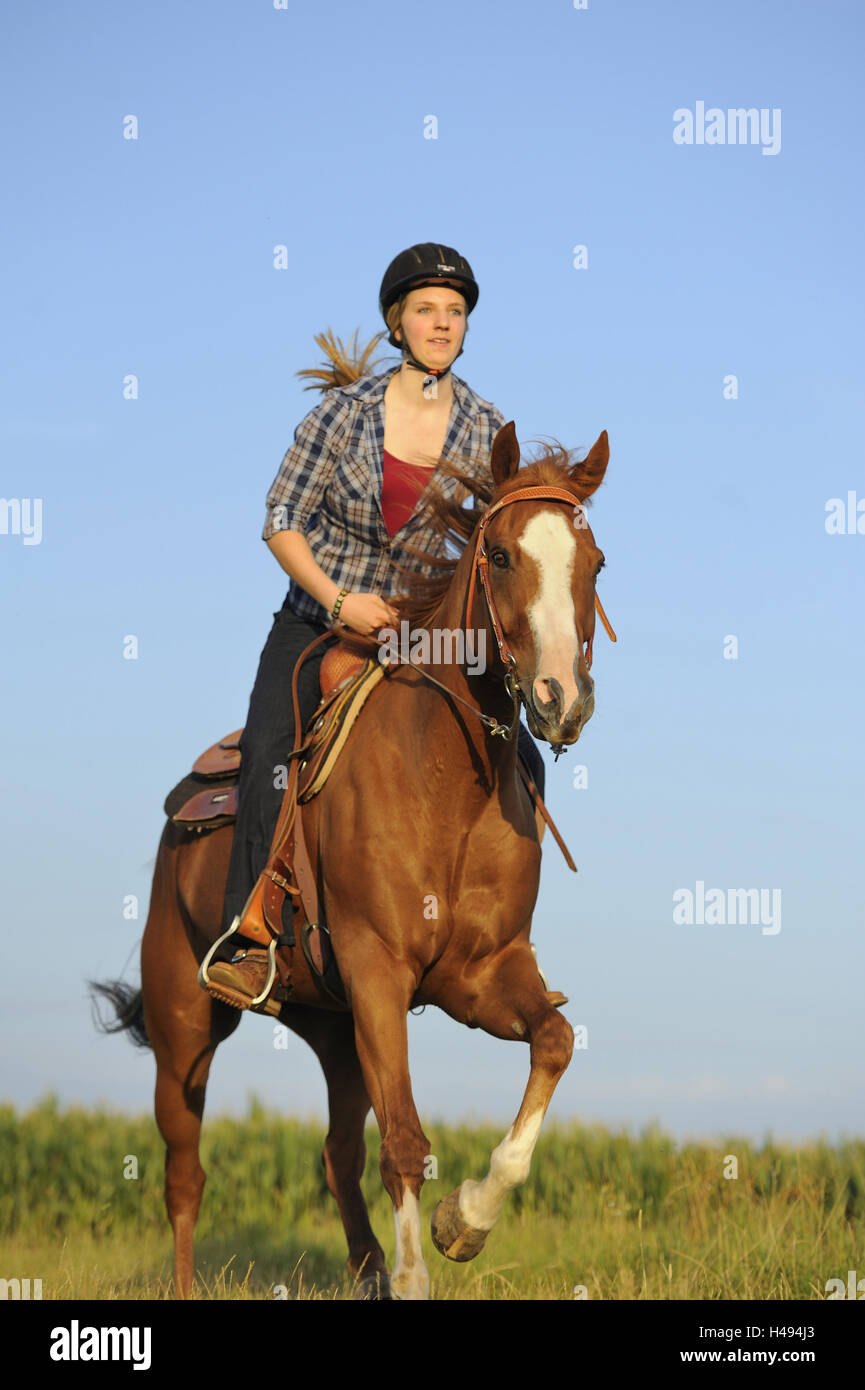 Teenage girl, horse, Paint Horse, back, sitting, looking at camera, Stock Photo