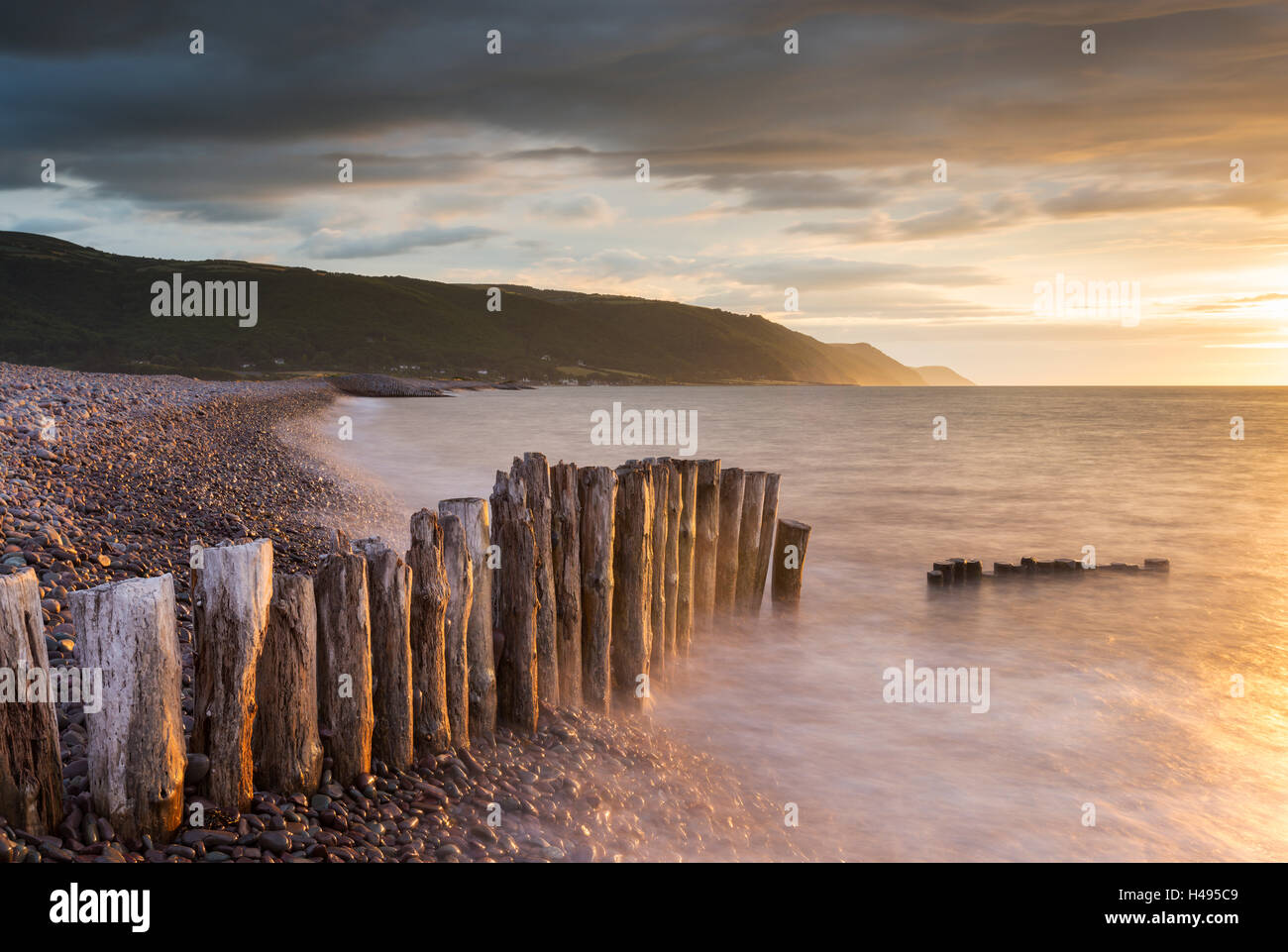 Weathered wooden posts on Bossington Beach, Exmoor National Park, Somerset, England. Summer (July) 2013. Stock Photo