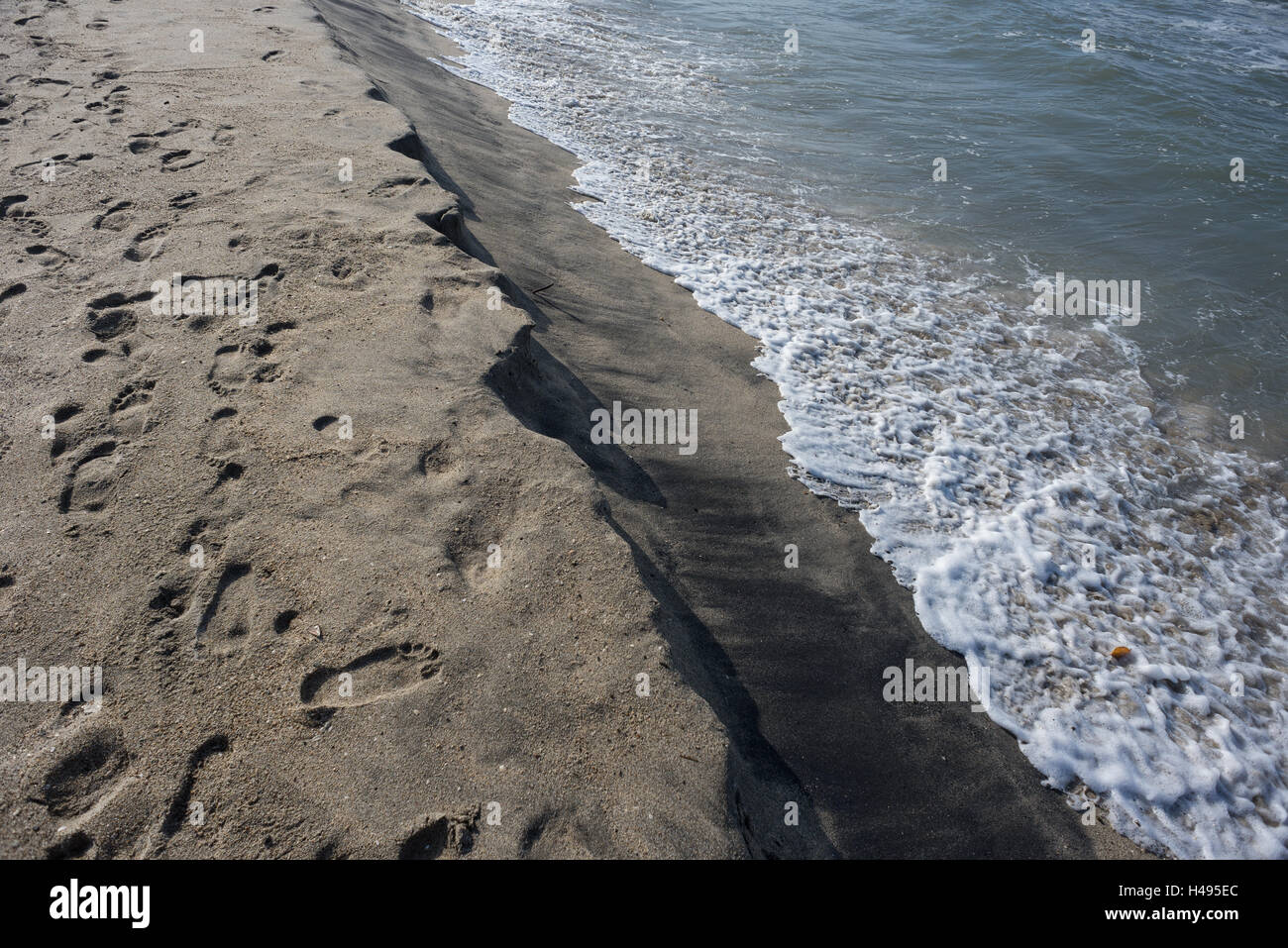 Areia Movediça No Oceano Índico Imagem de Stock - Imagem de praia, arenoso:  112344503