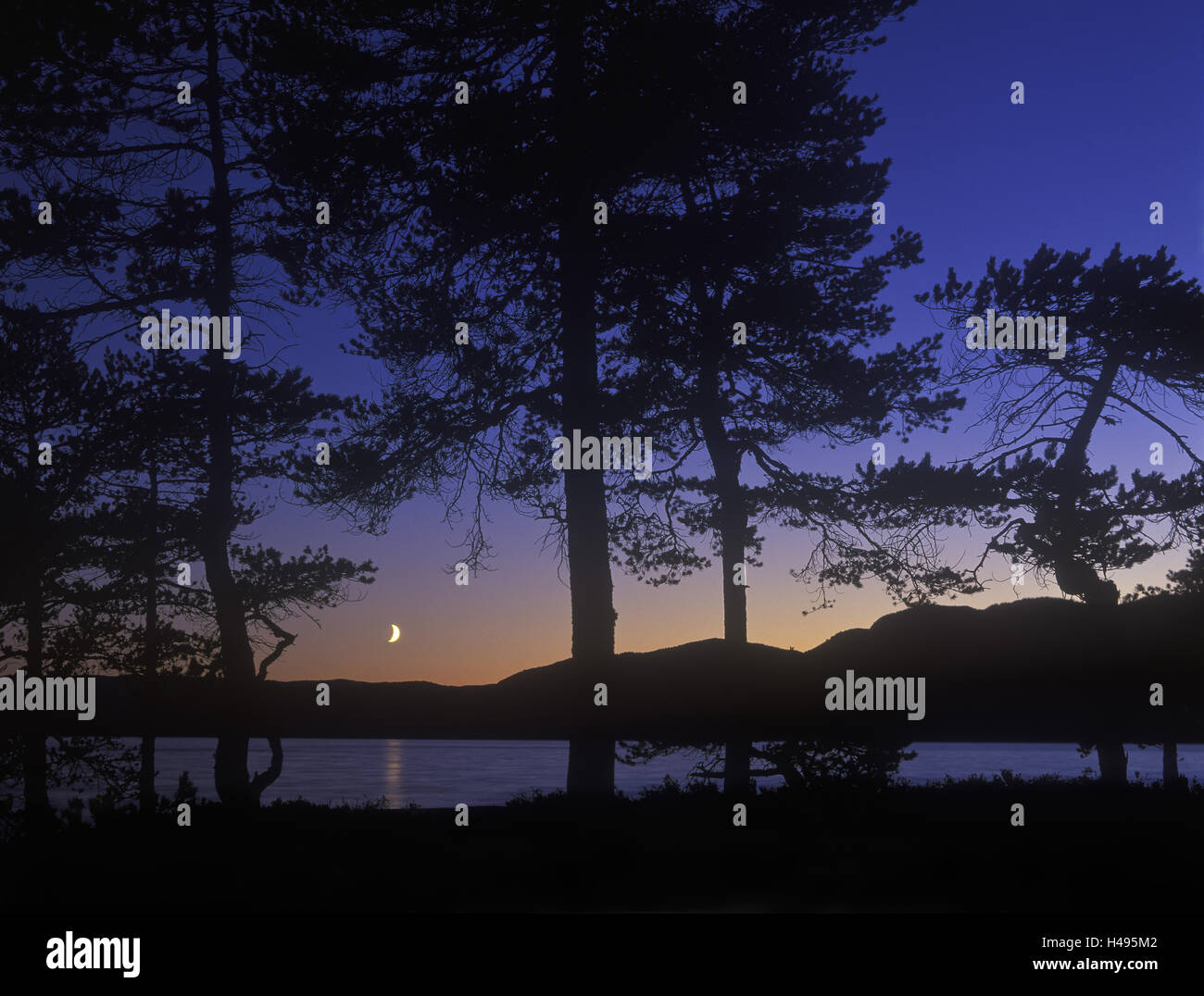 Norway, Telemark, Nisser lake, moonrise Stock Photo Alamy