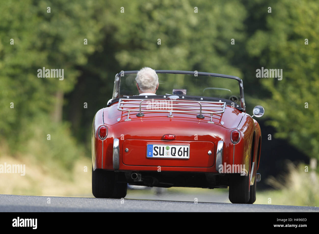 Car, old-timer, triumph TR3, moving, rear view, Stock Photo