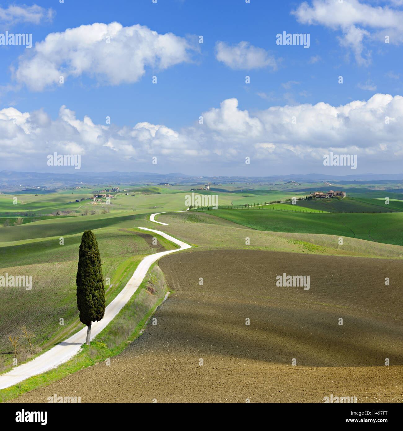 Italy, Tuscany, province Siena, Crete Senesi, Stock Photo