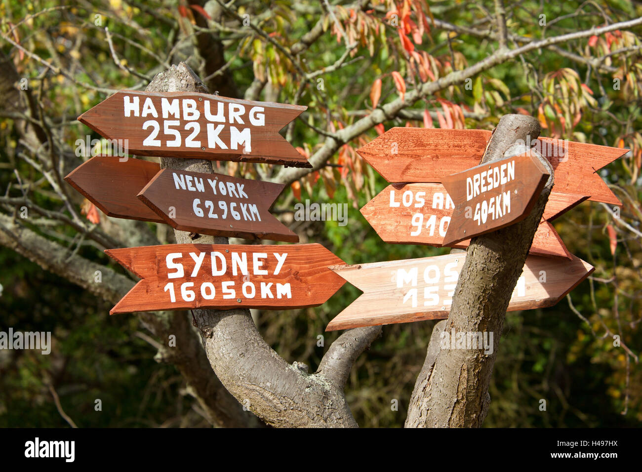 Baltic Sign Tree The Baltic Sea, Rügen, cape Arkona, sign tree, signpost Stock Photo - Alamy