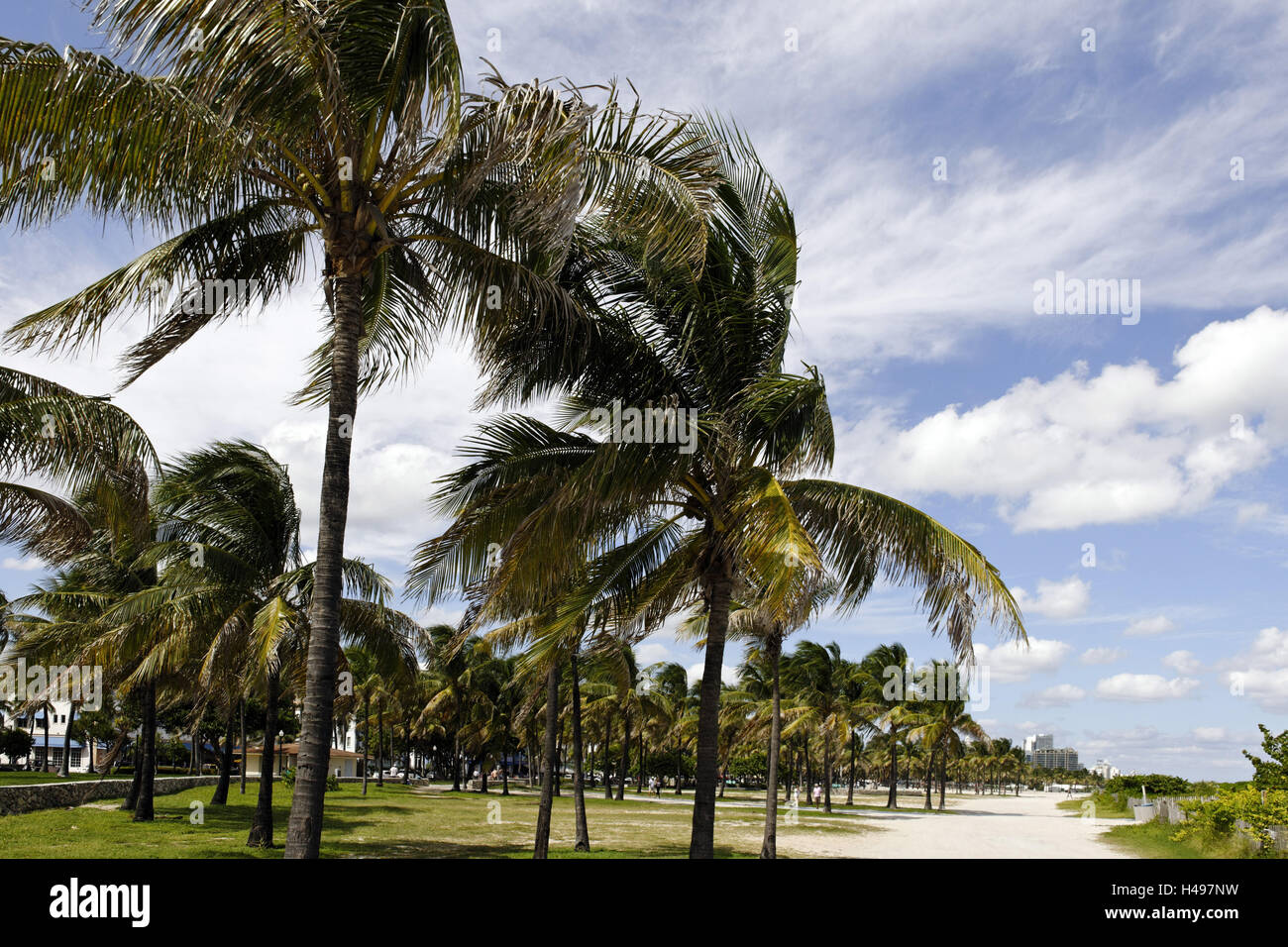 Lummus park, Ocean Terrace, South Miami Beach, kind of Deco District, Florida, USA, Stock Photo