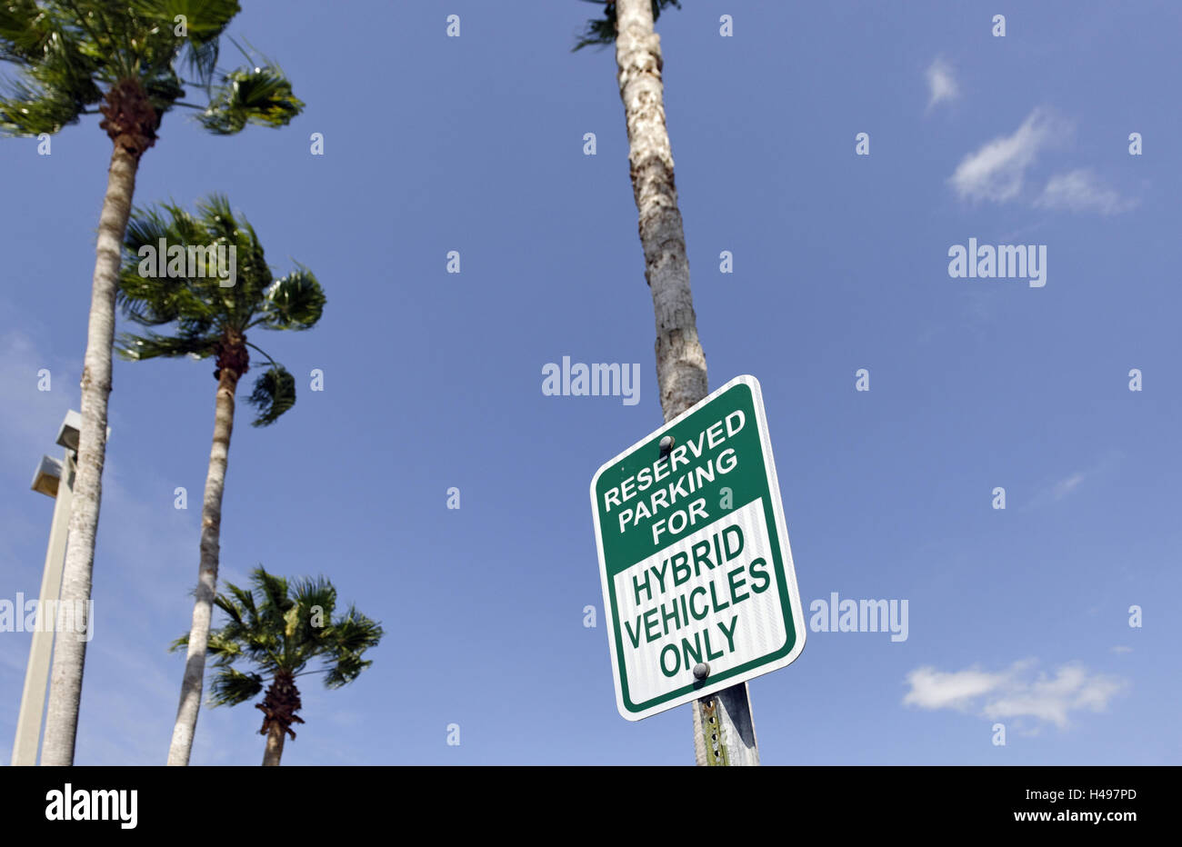 green marked parking lot only for Hybrid vehicles, Key Largo, Florida Keys, Florida, USA, Stock Photo